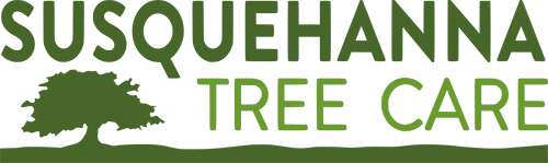 Susquehanna Tree Care